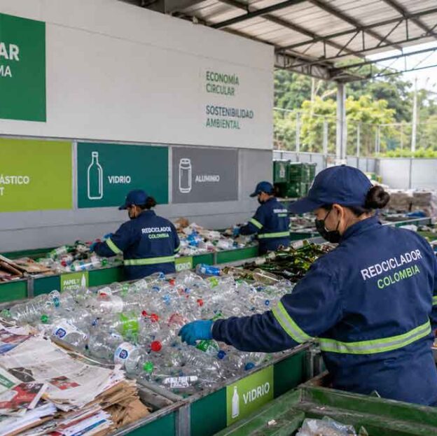 Lee más sobre el artículo Los residuos que más se reciclan en Colombia en 2026
