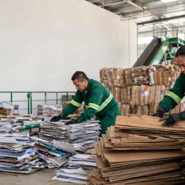 Lee más sobre el artículo Reciclaje de cartón y papel