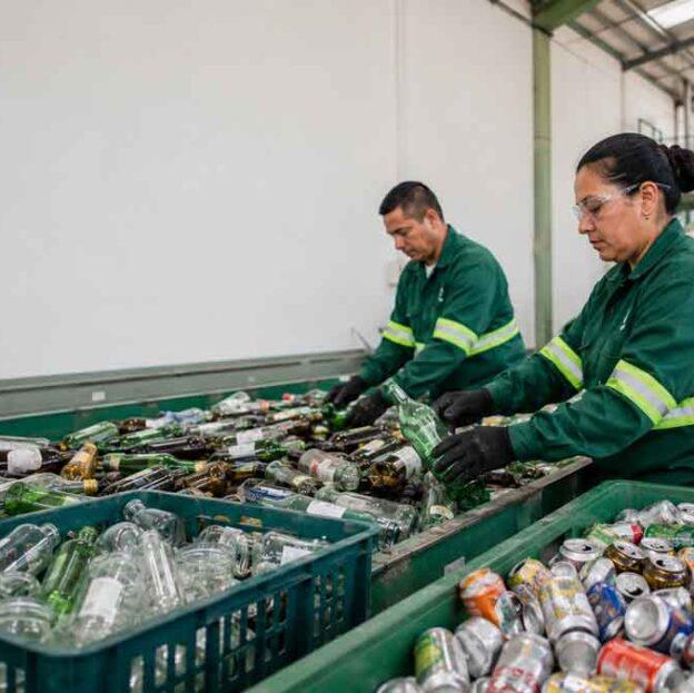 Lee más sobre el artículo Cómo reciclar vidrio y aluminio correctamente